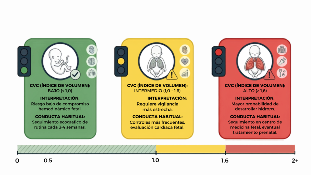 CVR en Malformaciones Pulmonares Prenatales